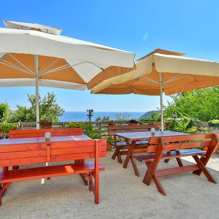 Pataki Studios Petrovac Eksteriør bilde