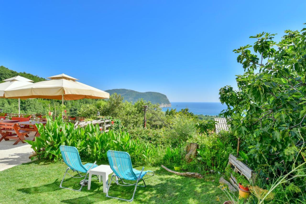 Pataki Studios Petrovac Eksteriør bilde