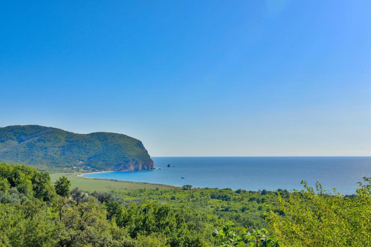 Pataki Studios Petrovac Eksteriør bilde