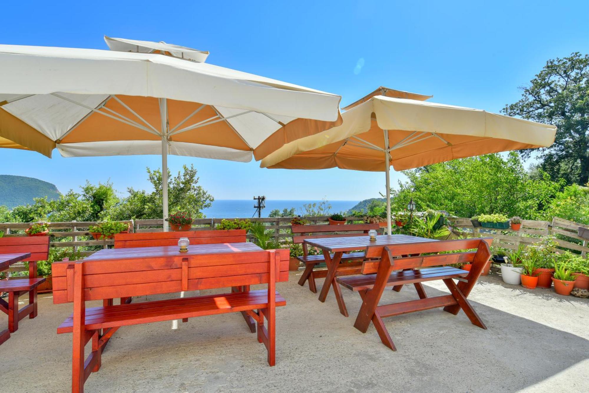 Pataki Studios Petrovac Eksteriør bilde