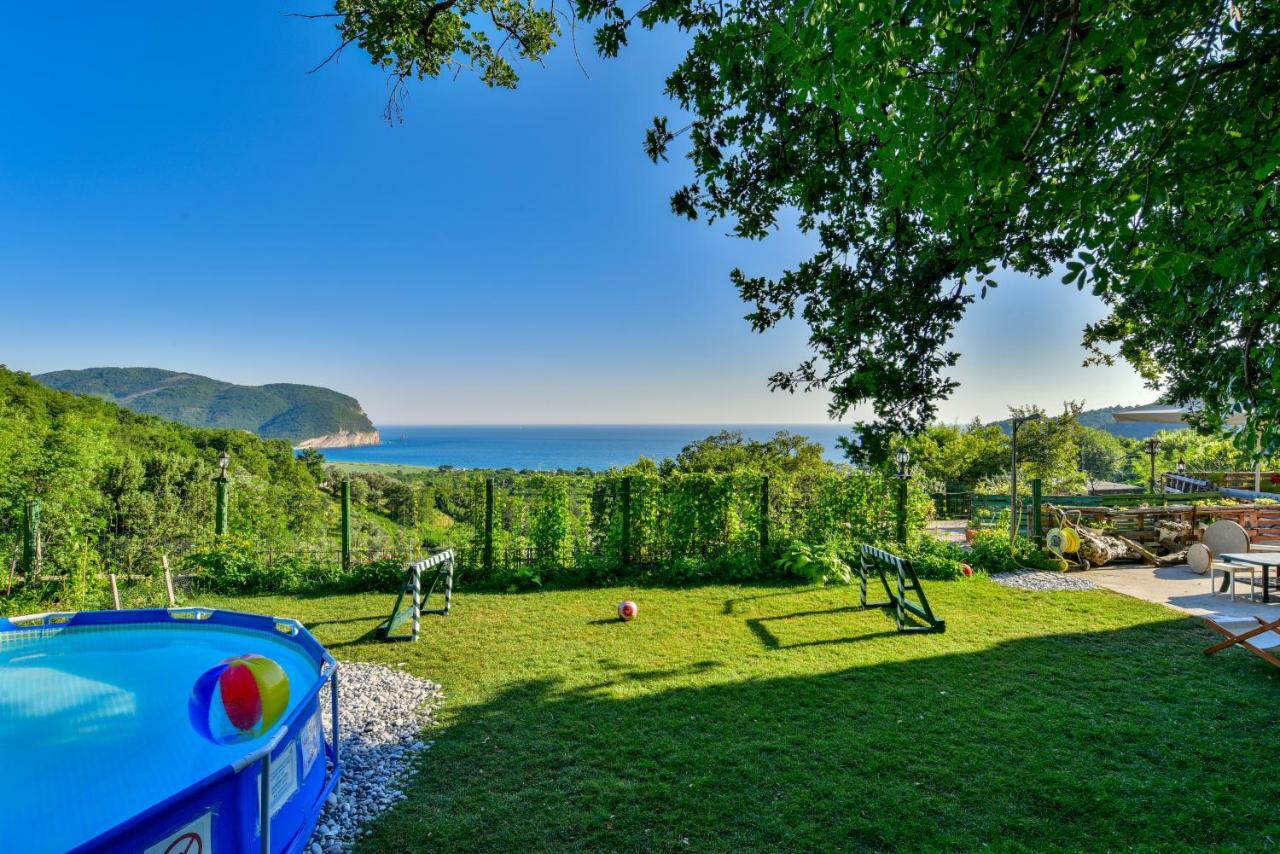 Pataki Studios Petrovac Eksteriør bilde