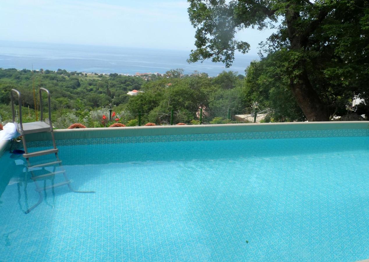 Pataki Studios Petrovac Eksteriør bilde