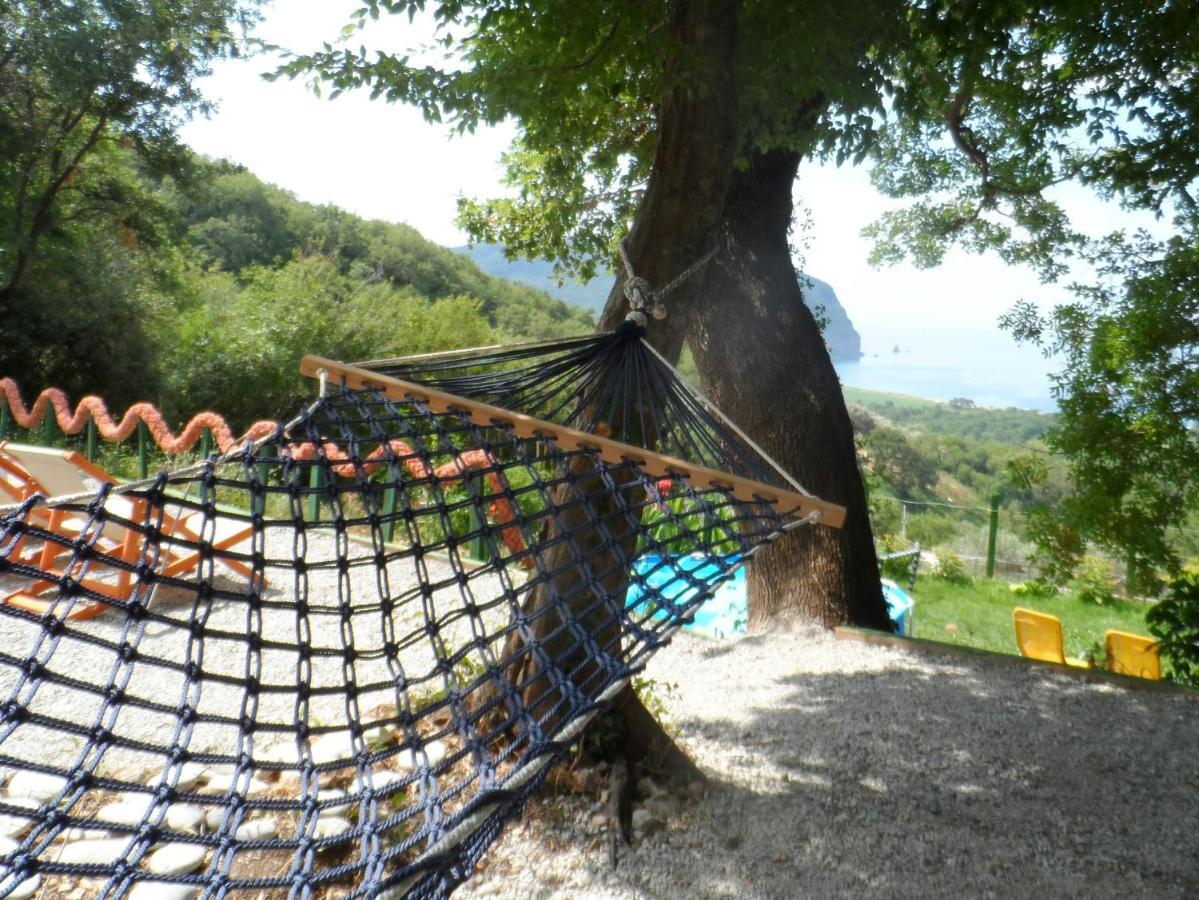 Pataki Studios Petrovac Eksteriør bilde