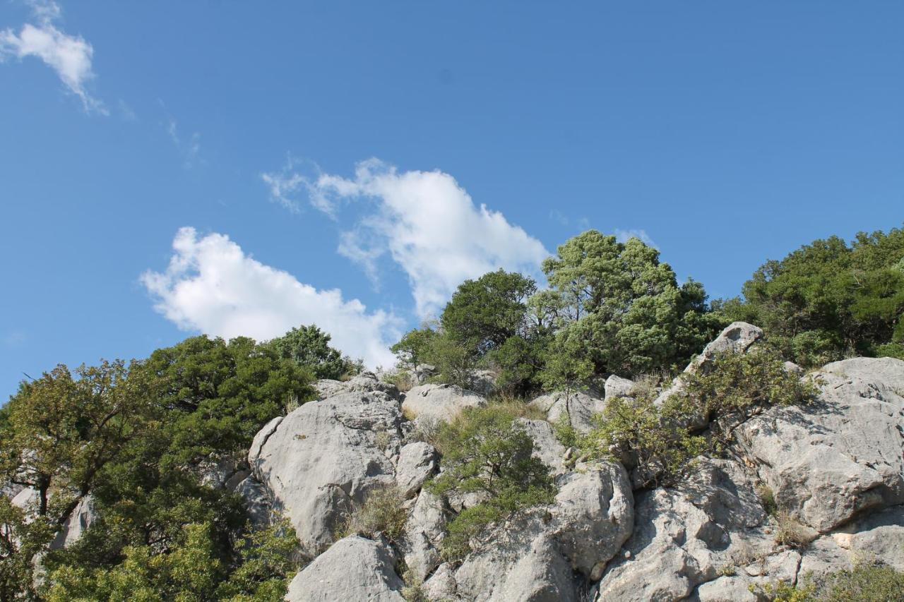 Pataki Studios Petrovac Eksteriør bilde