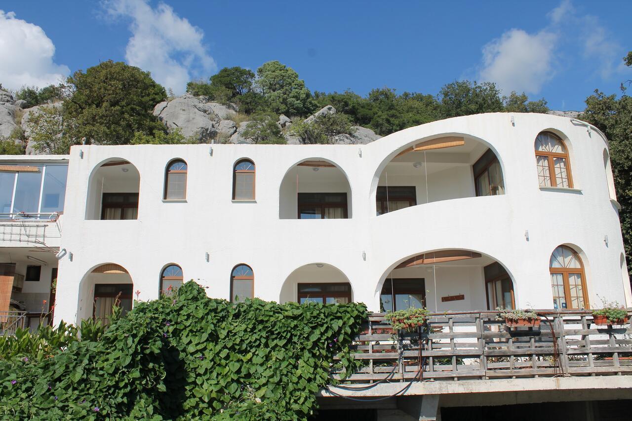 Pataki Studios Petrovac Eksteriør bilde