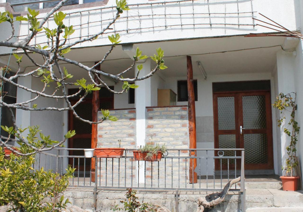 Pataki Studios Petrovac Eksteriør bilde