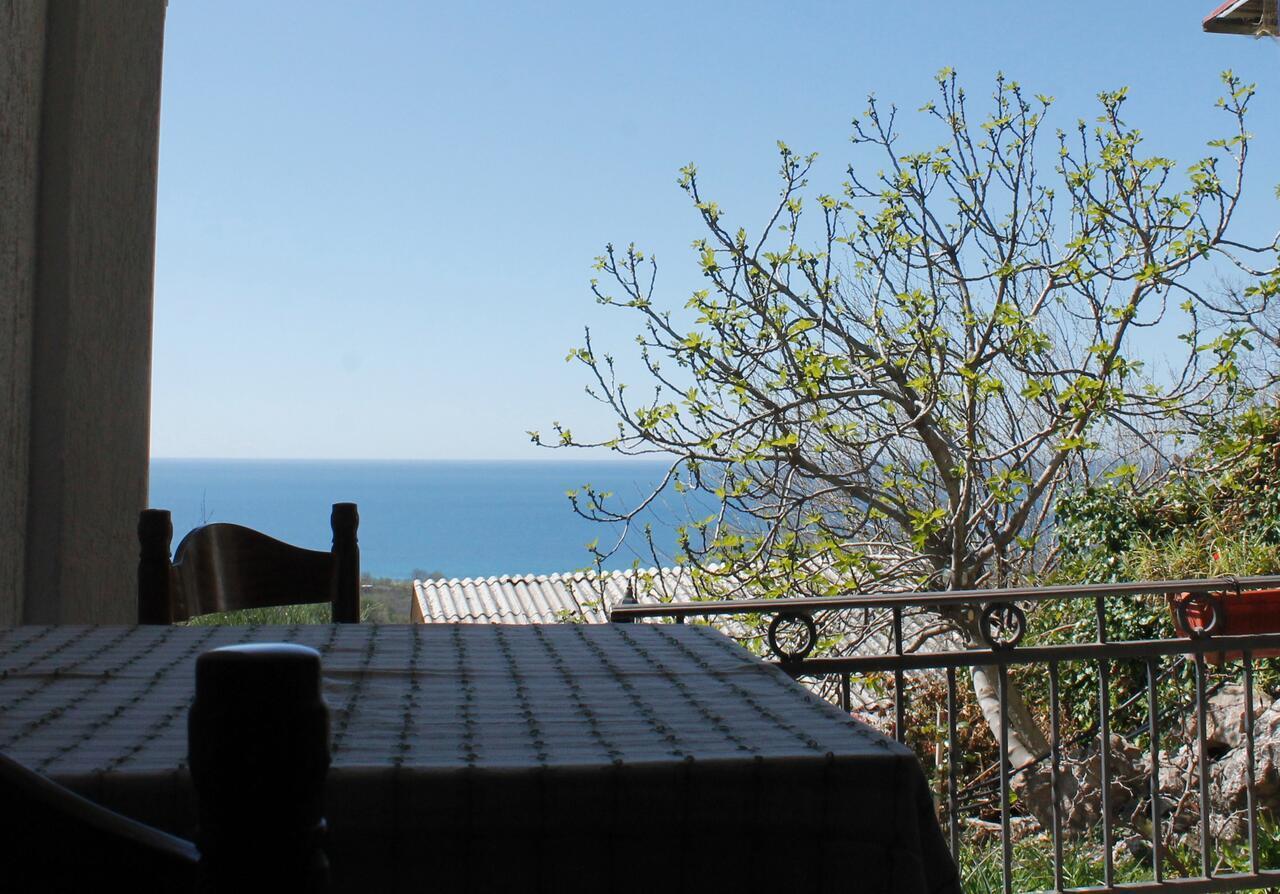 Pataki Studios Petrovac Eksteriør bilde
